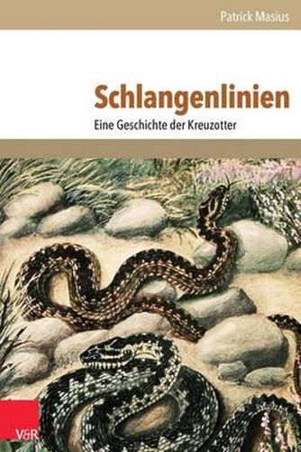 Cover image for Schlangenlinien: Eine Geschichte Der Kreuzotter