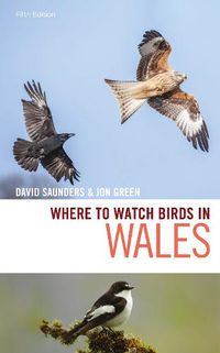 Cover image for Where to Watch Birds in Wales