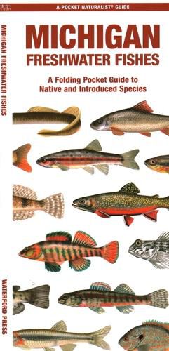 Cover image for Michigan Freshwater Fishes