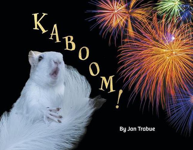 Cover image for Kaboom!