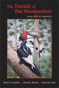 Cover image for The Travails of Two Woodpeckers: Ivory-bills and Imperials