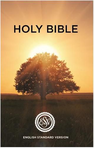 Cover image for ESV English Standard Version Outreach Bible