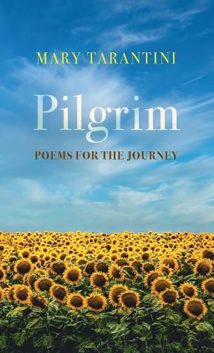 Cover image for Pilgrim