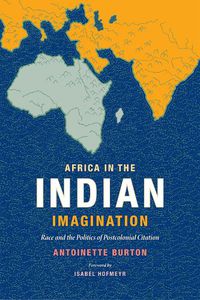 Cover image for Africa in the Indian Imagination: Race and the Politics of Postcolonial Citation