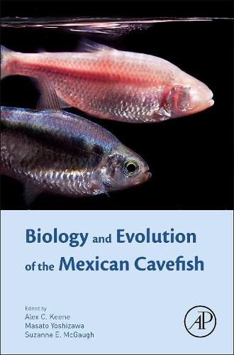 Cover image for Biology and Evolution of the Mexican Cavefish