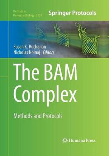 The BAM Complex: Methods and Protocols