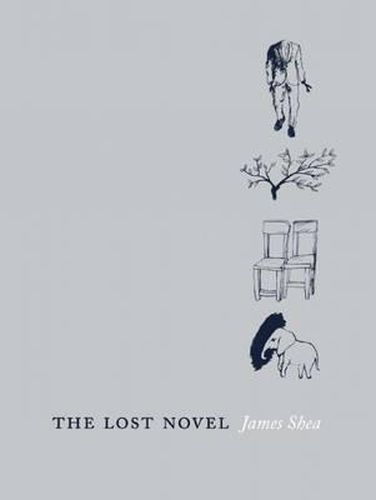 The Lost Novel