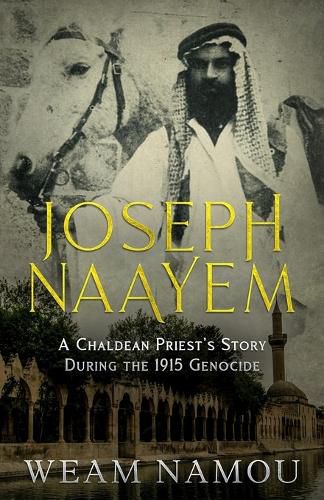 Cover image for Joseph Naayem