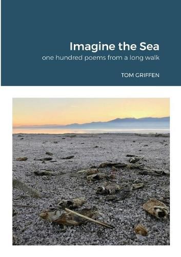 Cover image for Imagine the Sea