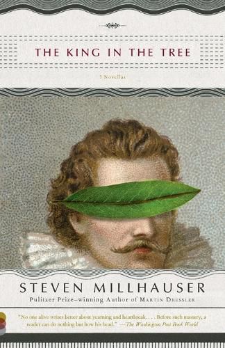 Cover image for The King in the Tree