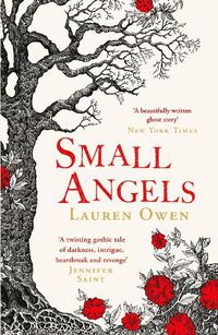 Cover image for Small Angels: A 'beautifully written modern ghost story' New York Times