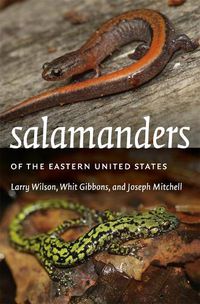 Cover image for Salamanders of the Eastern United States