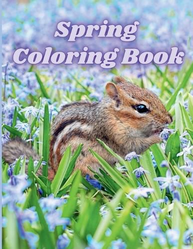 Cover image for Spring Coloring Book