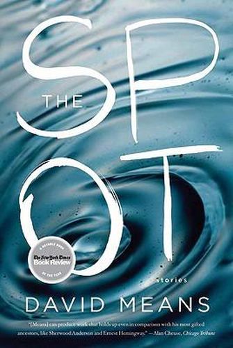 Cover image for The Spot: Stories