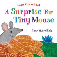 Cover image for A Surprise for Tiny Mouse