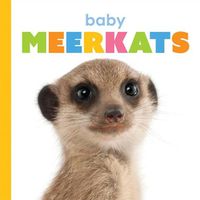 Cover image for Baby Meerkats