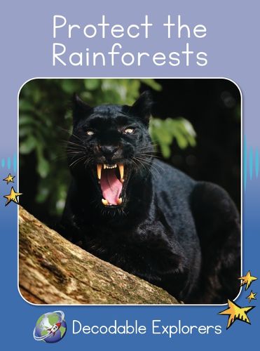 Cover image for Protect the Rainforests