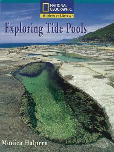 Cover image for Exploring Tide Pools