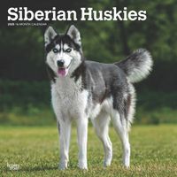 Cover image for Siberian Huskies 2025 12 X 24 Inch Monthly Square Wall Calendar Plastic-Free