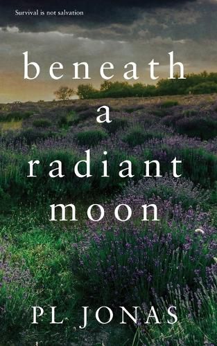 Cover image for Beneath a Radiant Moon