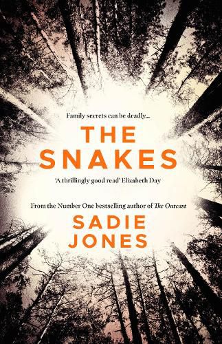 Cover image for The Snakes: The gripping Richard and Judy Bookclub Pick