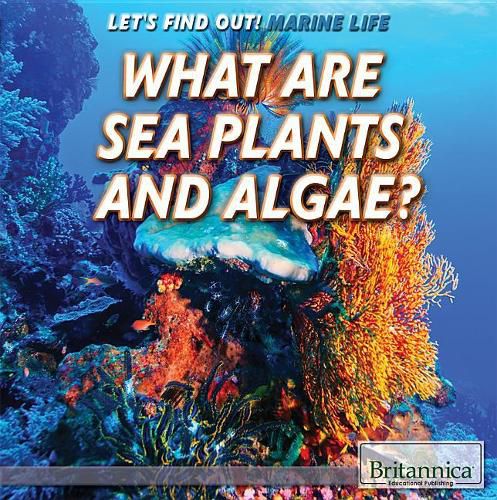 Cover image for What Are Sea Plants and Algae?