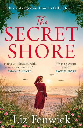 Cover image for The Secret Shore