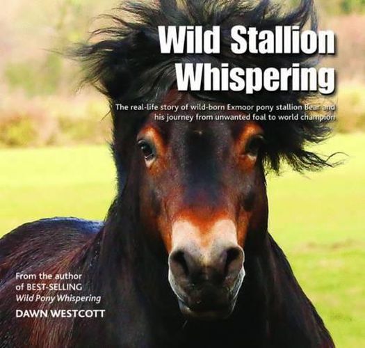 Cover image for Wild Stallion Whispering: The Real-Life Story of Wild-Born Exmoor Pony Stallion Bear and His Journey from Unwanted Foal to World Champion