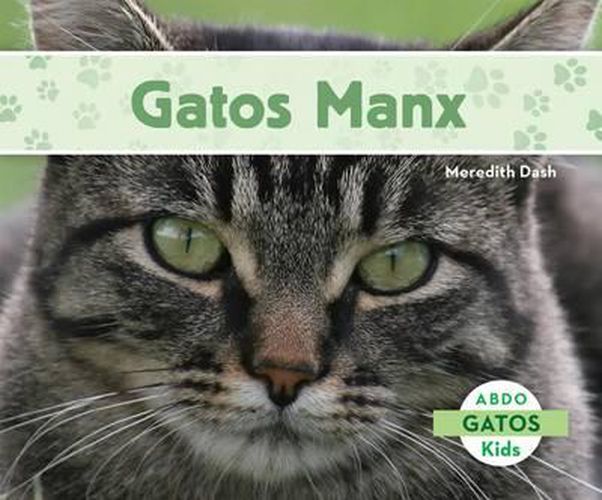 Gatos Manx