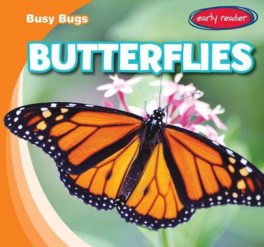 Cover image for Butterflies