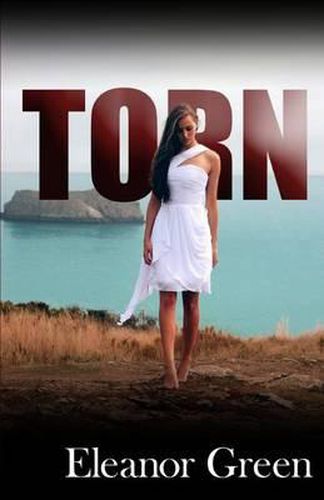 Cover image for Torn