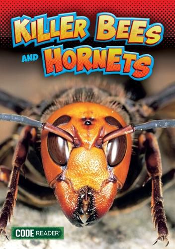 Cover image for Killer Bees and Hornets