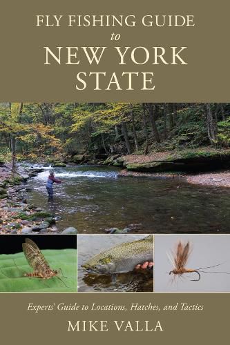 Cover image for Fly Fishing Guide to New York State