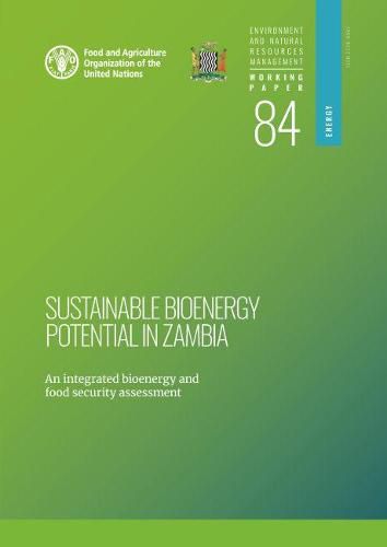 Cover image for Sustainable bioenergy potential in Zambia: an integrated bioenergy food security assessment
