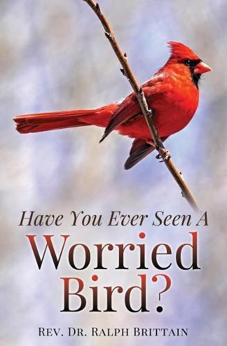 Cover image for Have You Ever Seen A Worried Bird?