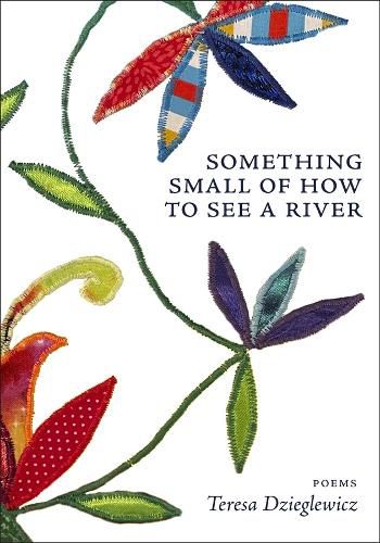 Cover image for Something Small of How to See a River
