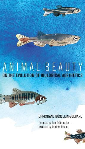 Animal Beauty: On the Evolution of Biological Aesthetics