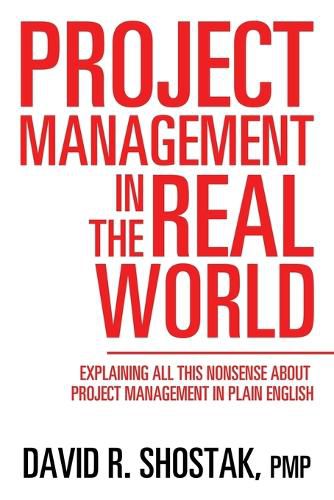 Cover image for Project Management in the Real World