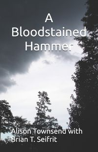 Cover image for A Bloodstained Hammer