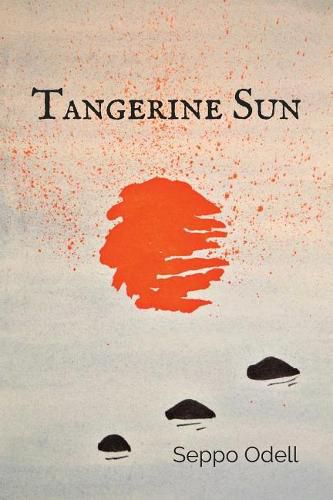 Cover image for Tangerine Sun