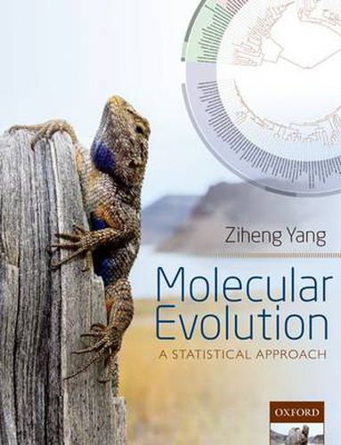 Cover image for Molecular Evolution: A Statistical Approach