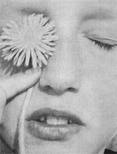 Cover image for OK, NO RESPONSE