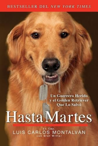 Cover image for Hasta Martes