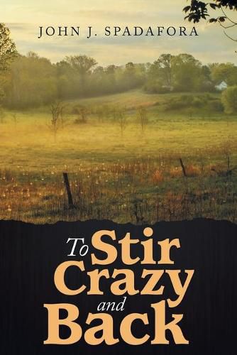 Cover image for To Stir Crazy and Back