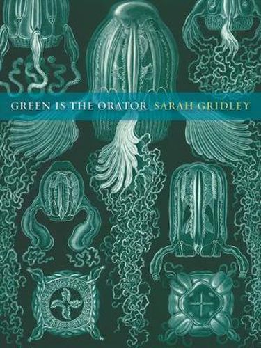 Cover image for Green is the Orator