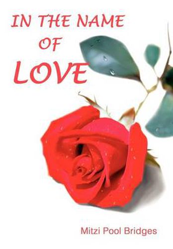 Cover image for In the Name of Love