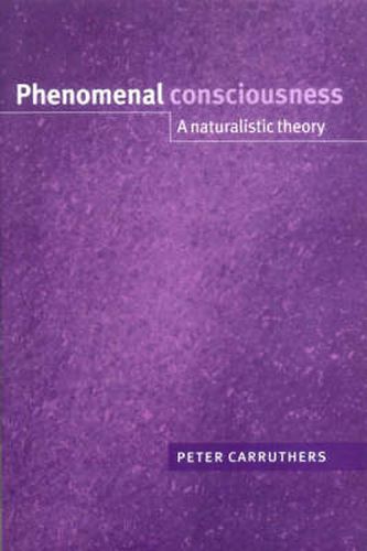 Cover image for Phenomenal Consciousness: A Naturalistic Theory