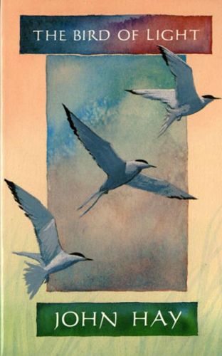 Cover image for The Bird of Light