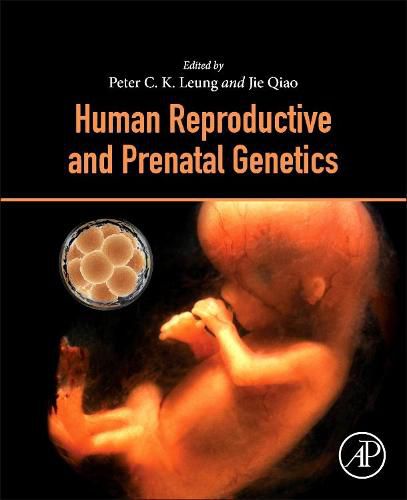 Cover image for Human Reproductive and Prenatal Genetics