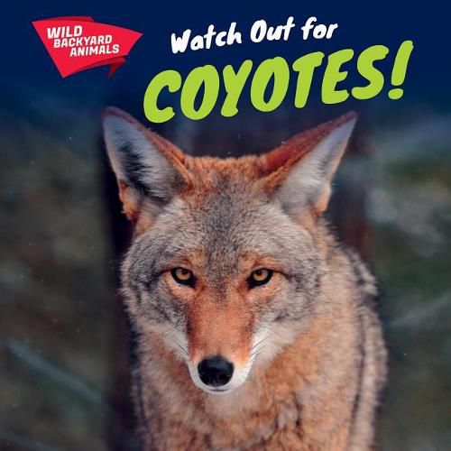 Cover image for Watch Out for Coyotes!